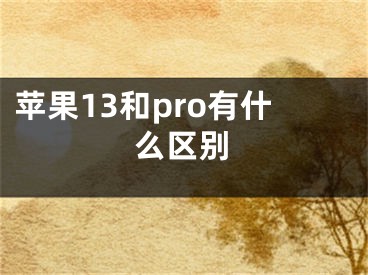 苹果13和pro有什么区别