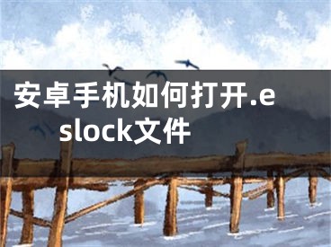 安卓手机如何打开.eslock文件