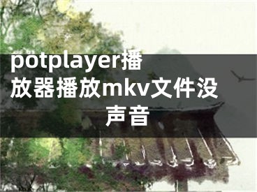 potplayer播放器播放mkv文件没声音