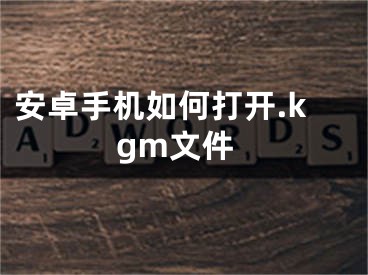 安卓手机如何打开.kgm文件