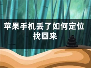 苹果手机丢了如何定位找回来