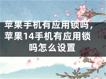 苹果手机有应用锁吗，苹果14手机有应用锁吗怎么设置