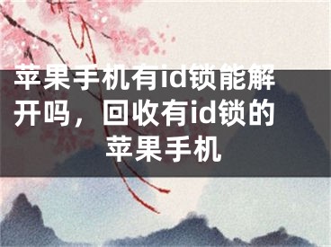 苹果手机有id锁能解开吗，回收有id锁的苹果手机