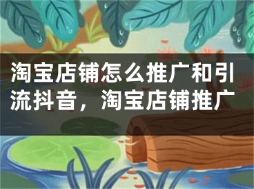 淘宝店铺怎么推广和引流抖音，淘宝店铺推广