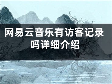 网易云音乐有访客记录吗详细介绍