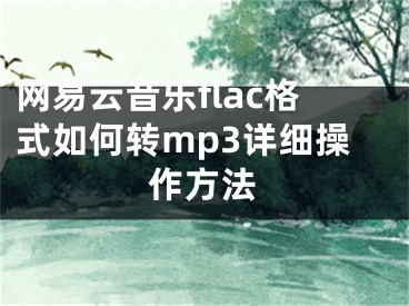 网易云音乐flac格式如何转mp3详细操作方法