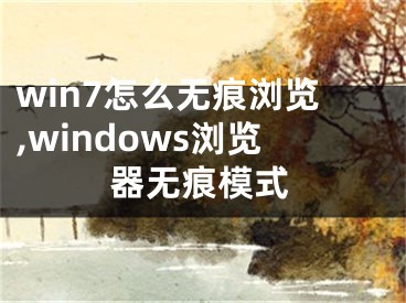 win7怎么无痕浏览,windows浏览器无痕模式