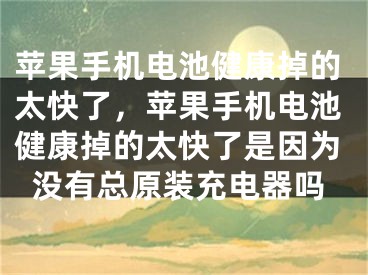 苹果手机电池健康掉的太快了，苹果手机电池健康掉的太快了是因为没有总原装充电器吗