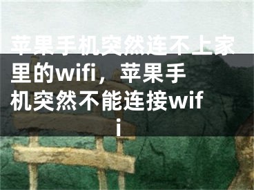 苹果手机突然连不上家里的wifi，苹果手机突然不能连接wifi