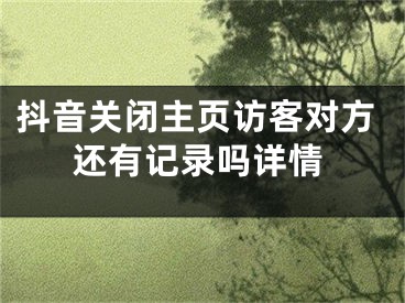 抖音关闭主页访客对方还有记录吗详情