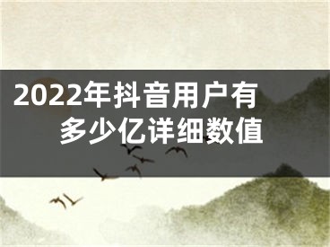 2022年抖音用户有多少亿详细数值