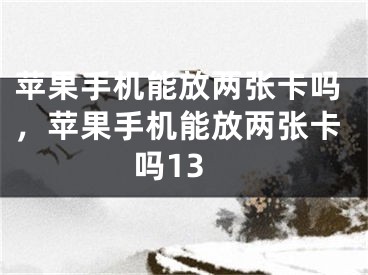 苹果手机能放两张卡吗，苹果手机能放两张卡吗13