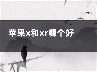 苹果x和xr哪个好