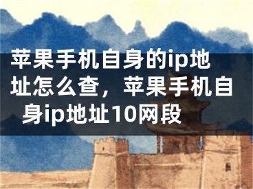 苹果手机自身的ip地址怎么查，苹果手机自身ip地址10网段