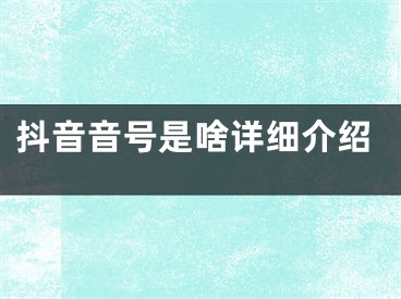 抖音音号是啥详细介绍