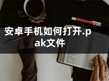 安卓手机如何打开.pak文件