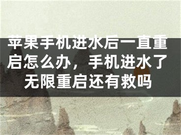 苹果手机进水后一直重启怎么办，手机进水了无限重启还有救吗