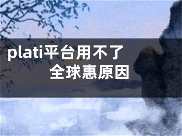 plati平台用不了全球惠原因