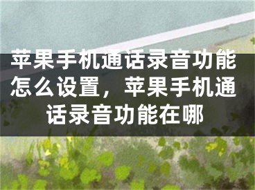 苹果手机通话录音功能怎么设置，苹果手机通话录音功能在哪