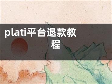 plati平台退款教程