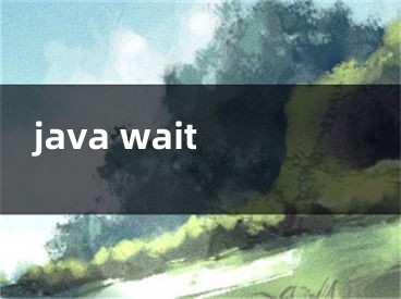 java wait