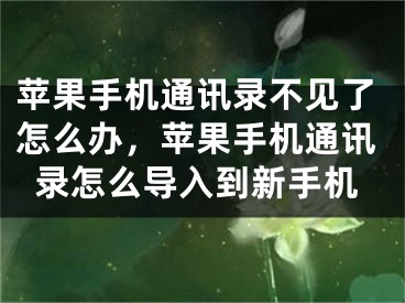 苹果手机通讯录不见了怎么办，苹果手机通讯录怎么导入到新手机