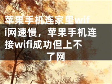 苹果手机连家里wifi网速慢，苹果手机连接wifi成功但上不了网