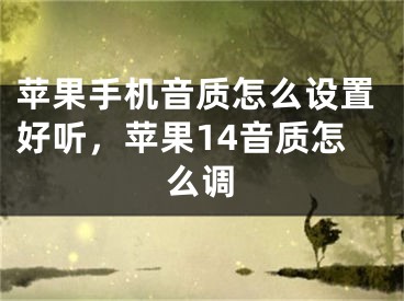 苹果手机音质怎么设置好听，苹果14音质怎么调