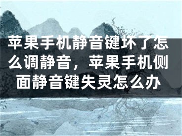 苹果手机静音键坏了怎么调静音，苹果手机侧面静音键失灵怎么办