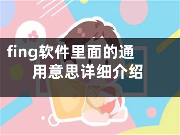 fing软件里面的通用意思详细介绍