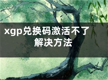 xgp兑换码激活不了解决方法