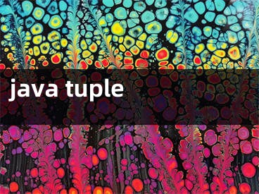 java tuple