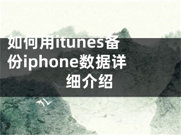 如何用itunes备份iphone数据详细介绍