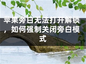 苹果旁白无法打开解锁，如何强制关闭旁白模式