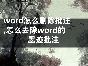 word怎么删除批注,怎么去除word的墨迹批注