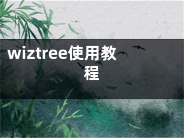 wiztree使用教程