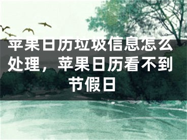 苹果日历垃圾信息怎么处理，苹果日历看不到节假日