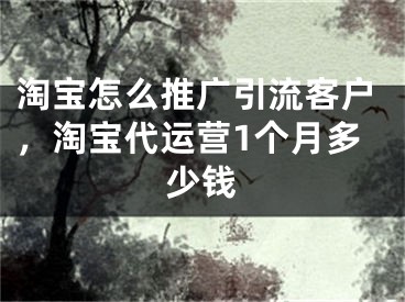 淘宝怎么推广引流客户，淘宝代运营1个月多少钱