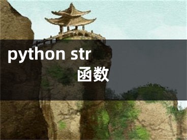 python str函数