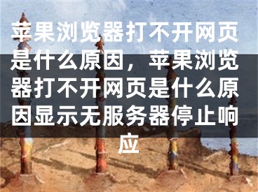 苹果浏览器打不开网页是什么原因，苹果浏览器打不开网页是什么原因显示无服务器停止响应