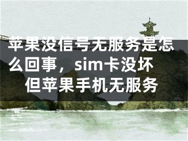 苹果没信号无服务是怎么回事，sim卡没坏但苹果手机无服务