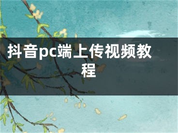 抖音pc端上传视频教程