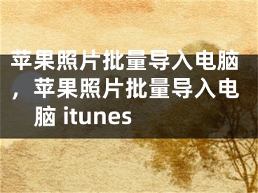 苹果照片批量导入电脑，苹果照片批量导入电脑 itunes