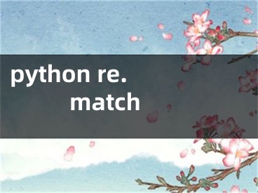 python re.match