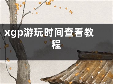 xgp游玩时间查看教程