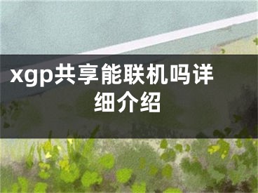 xgp共享能联机吗详细介绍