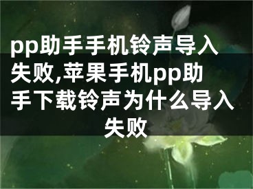 pp助手手机铃声导入失败,苹果手机pp助手下载铃声为什么导入失败