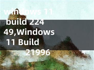 windows 11 build 22449,Windows 11 Build 21996