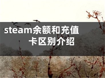 steam余额和充值卡区别介绍