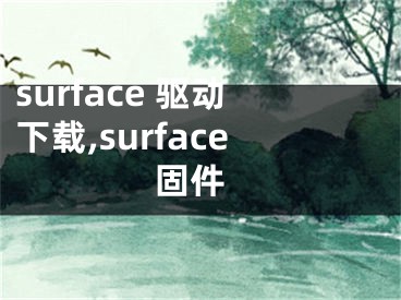 surface 驱动下载,surface 固件